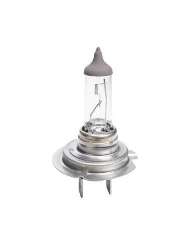 Lam061 Lampara H7 24v